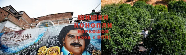 каннабис Алзамай